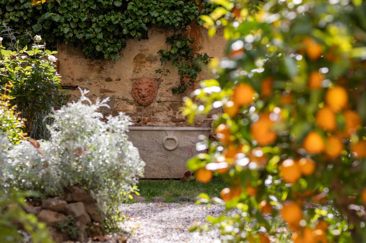 Secret Garden Firenze B&B Exterior foto