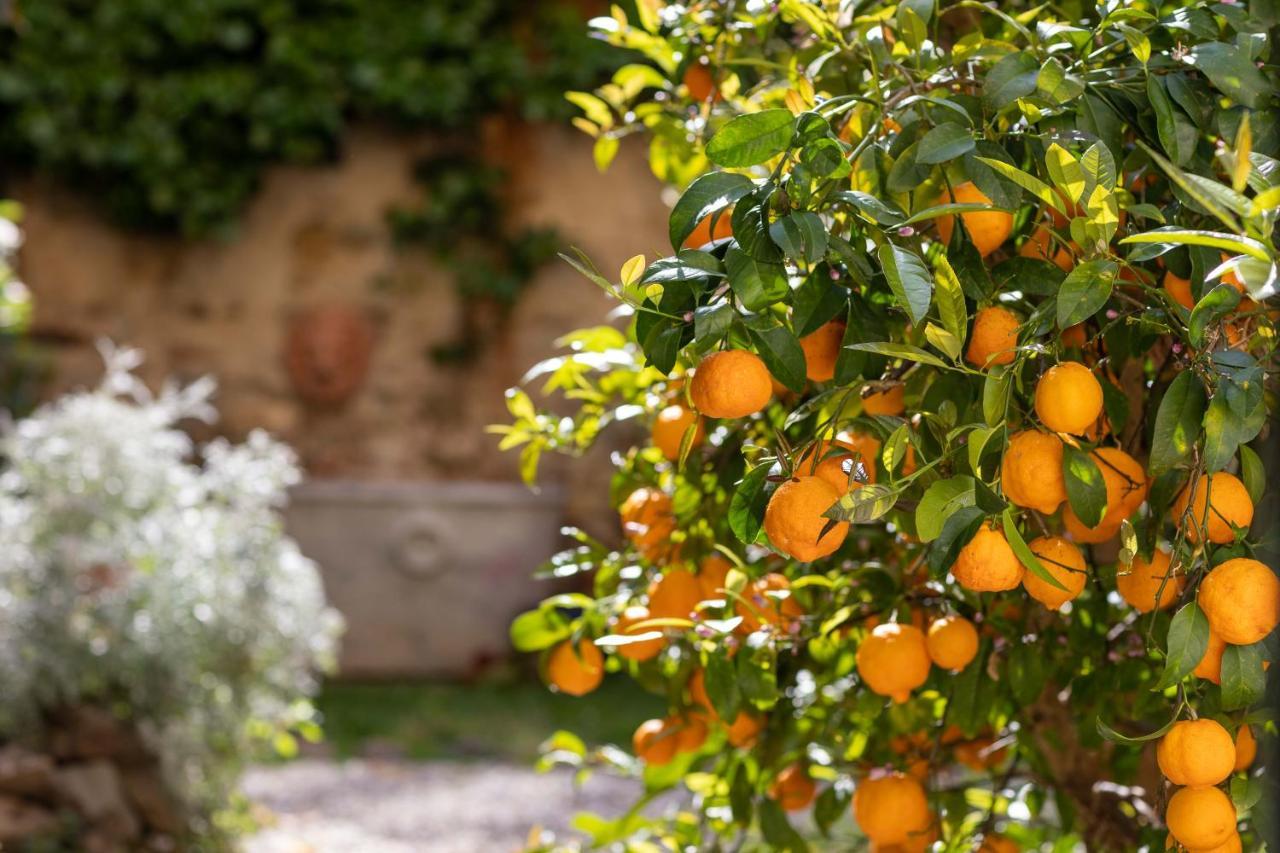 Secret Garden Firenze B&B Exterior foto