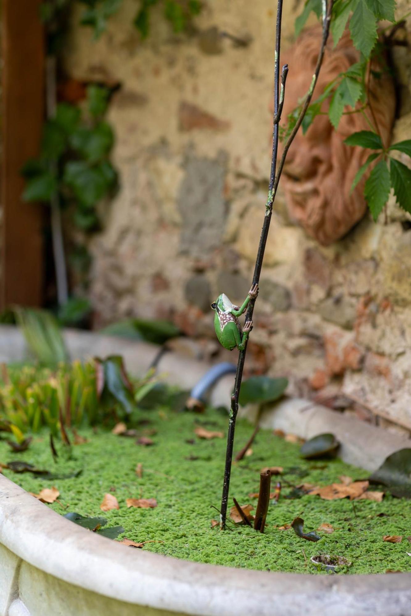 Secret Garden Firenze B&B Exterior foto