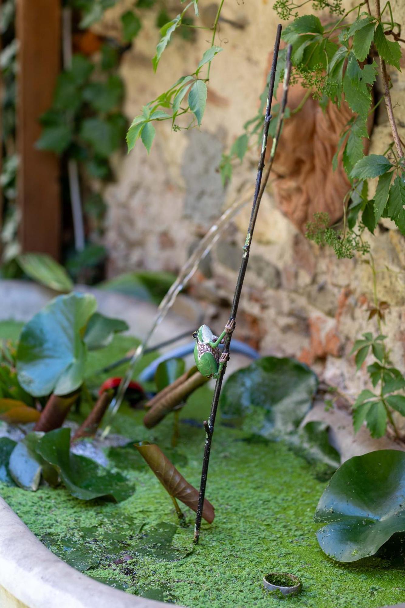 Secret Garden Firenze B&B Exterior foto